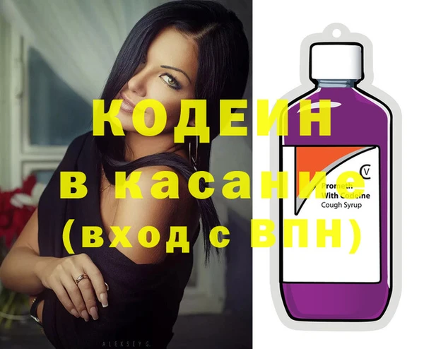 индика Иннополис