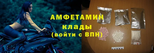 ALPHA PVP Няндома
