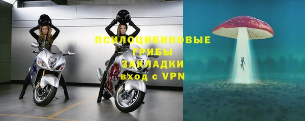 метадон Инсар