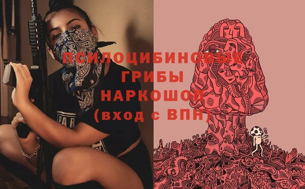 альфа пвп Инта