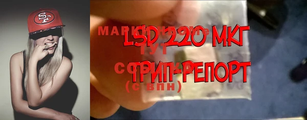 индика Иннополис