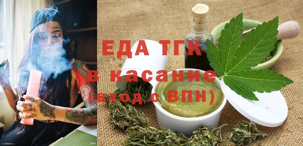 индика Иннополис