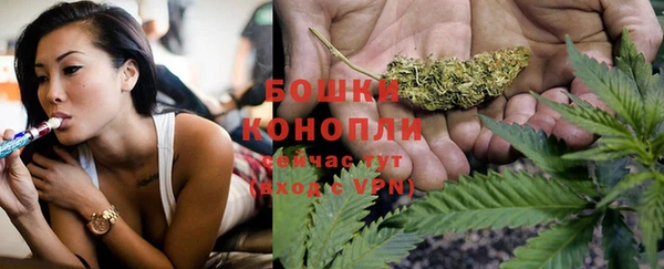 сатива Магас