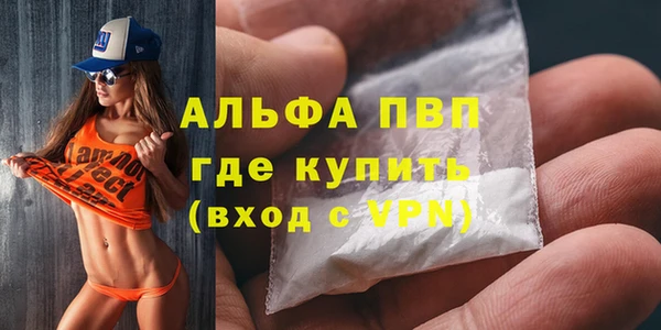 индика Иннополис