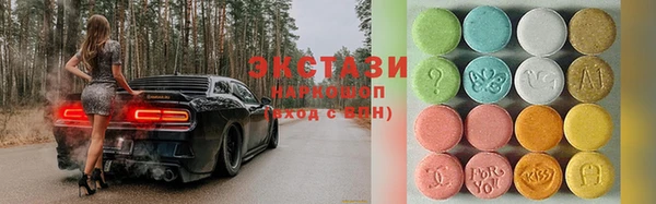 индика Иннополис