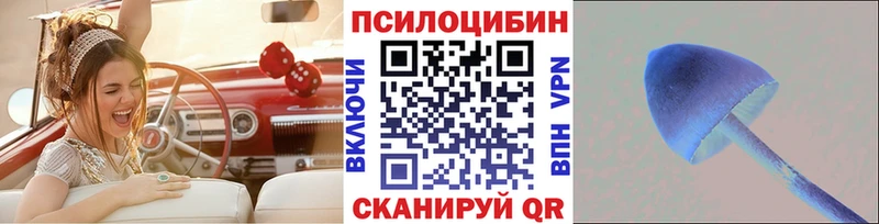 Псилоцибиновые грибы Psilocybine cubensis  Урень 
